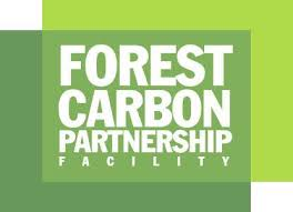 FOREST CARBON